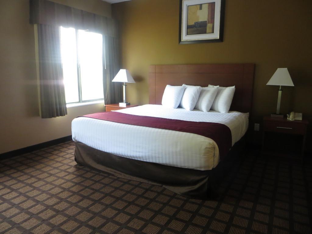 Baymont By Wyndham New Buffalo Chambre photo
