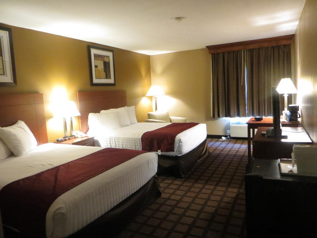 Baymont By Wyndham New Buffalo Chambre photo